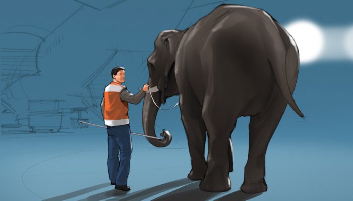 Elefant
