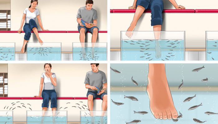 Fische